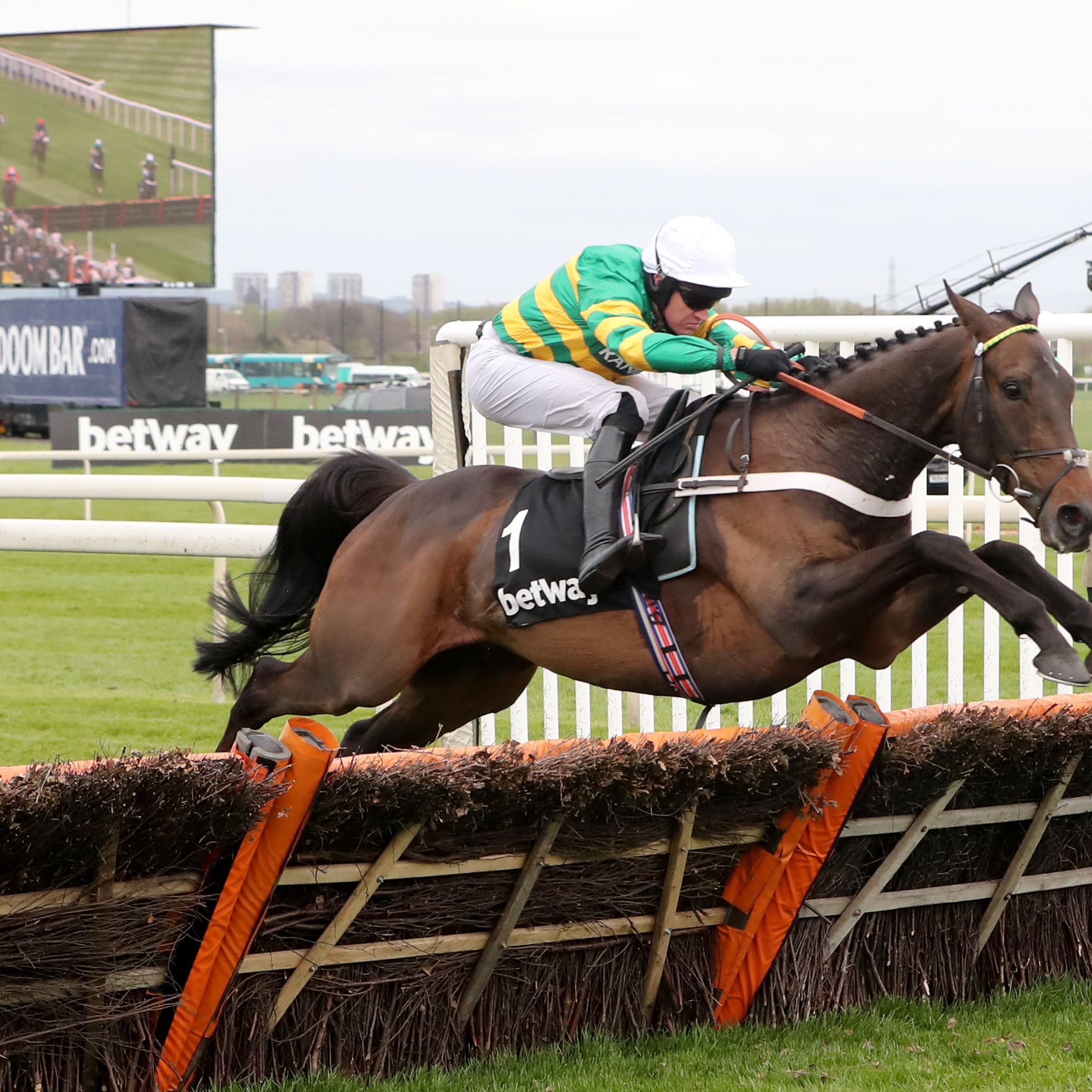 Buveur D’Air is aiming to stretch his unbeaten run to 11