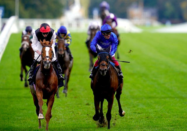 Trawlerman, right, defeats Kyprios, left, by a neck at Ascot