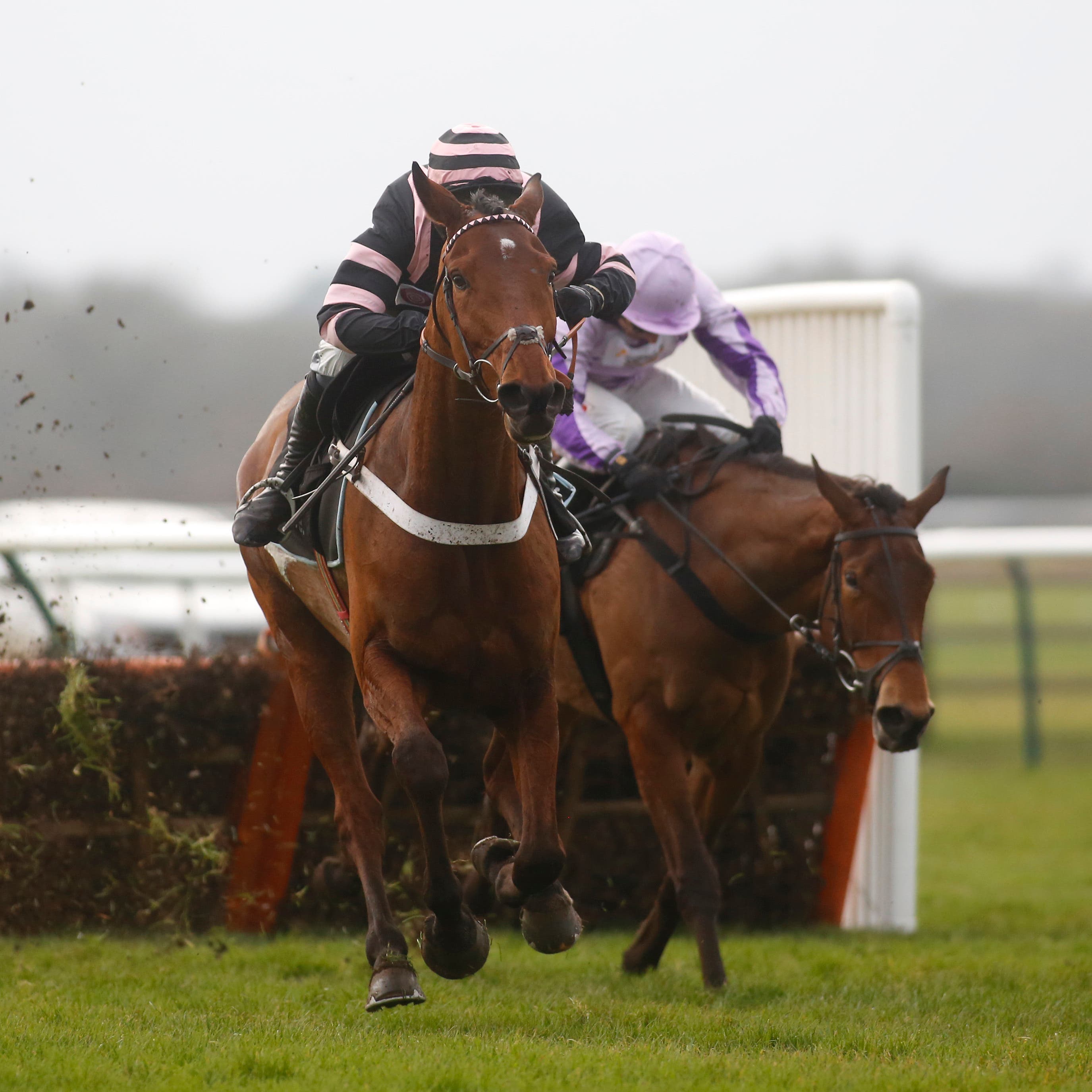 Mr Whipped opened his account over fences at Haydock
