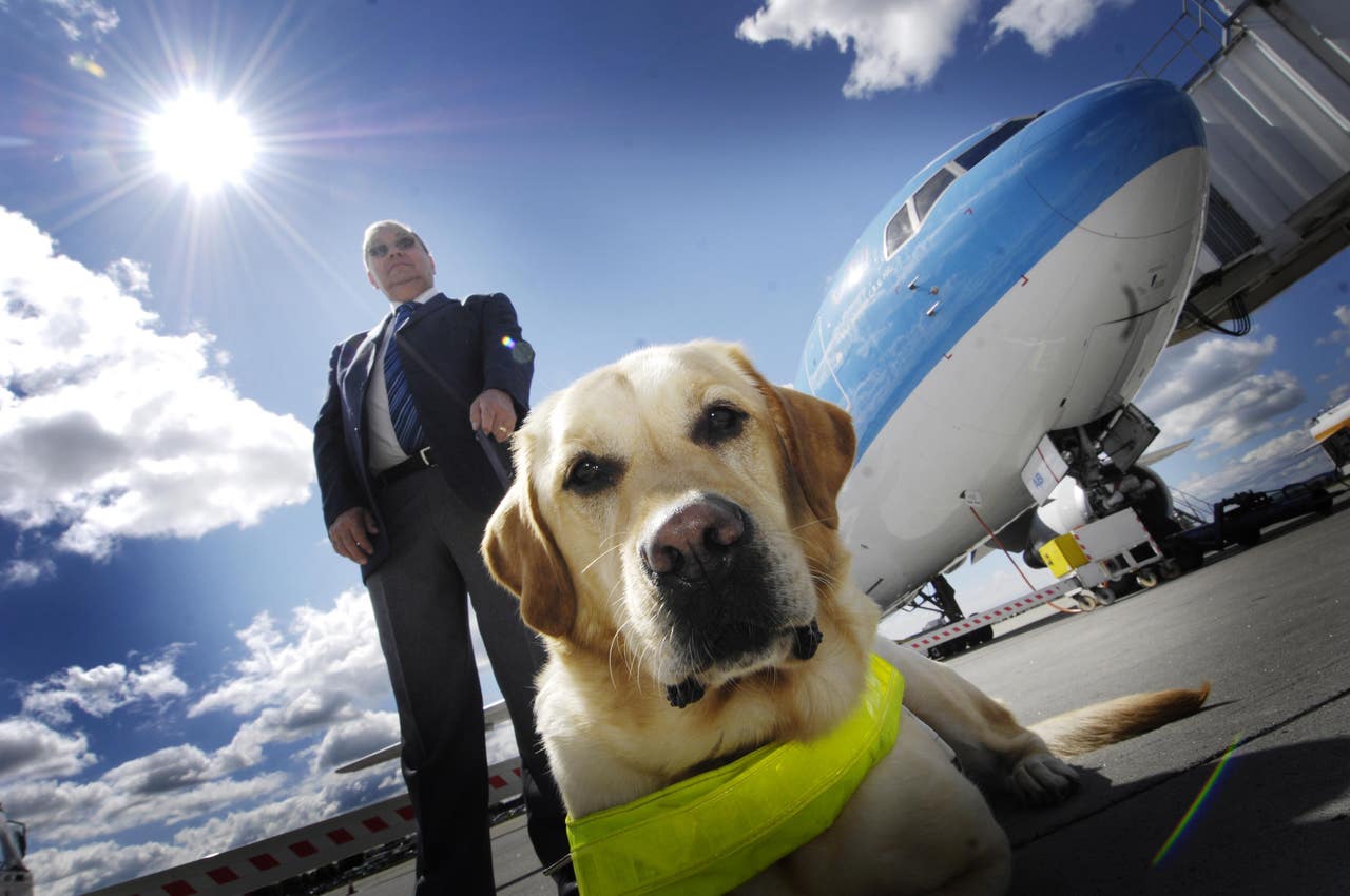 American Airlines moves to ground emotionalsupport animals The