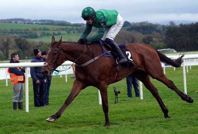 El Fabiolo failed to sparkle at Cheltenham 