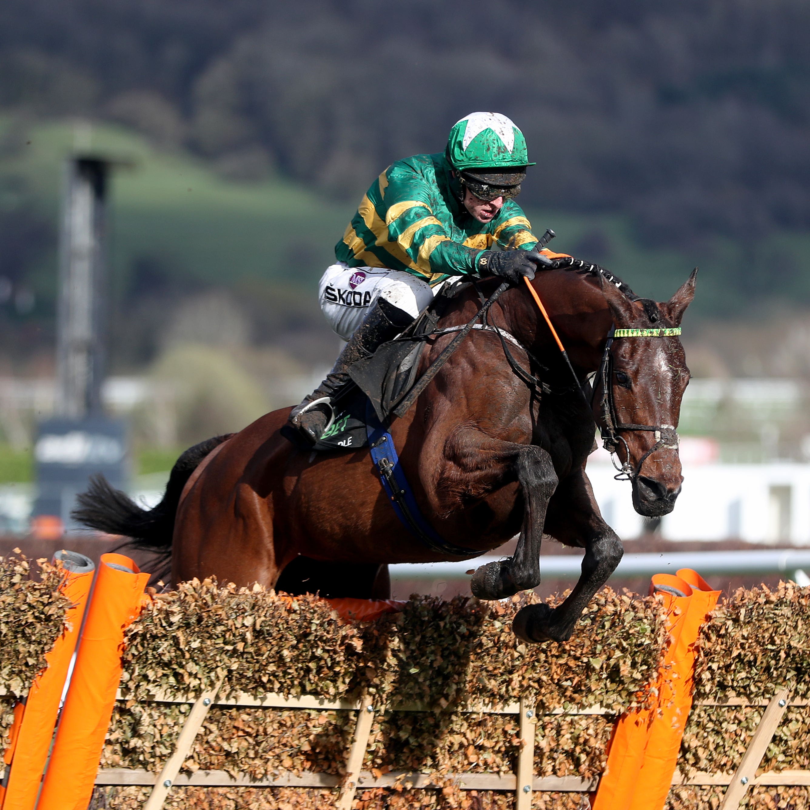 Espoir D’Allen powered to victory in the Champion Hurdle