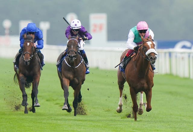 Indestructible (centre) finishing second to Chaldean in the Champagne Stakes at Doncaster