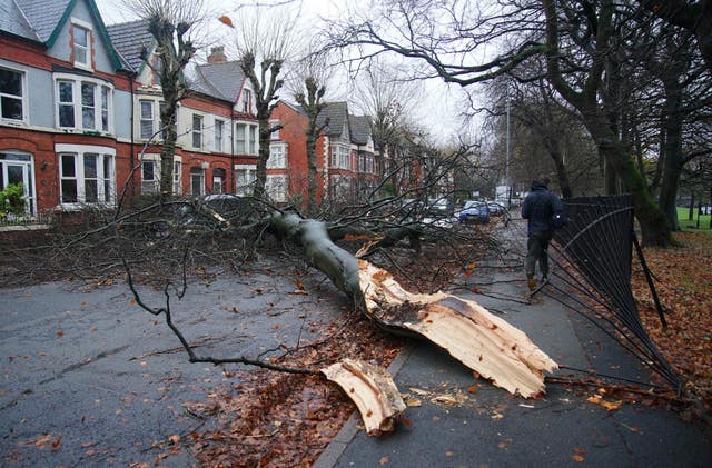 A fallen tree on a car in a Liverpool street