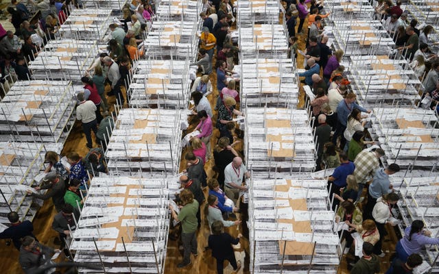 European and local elections