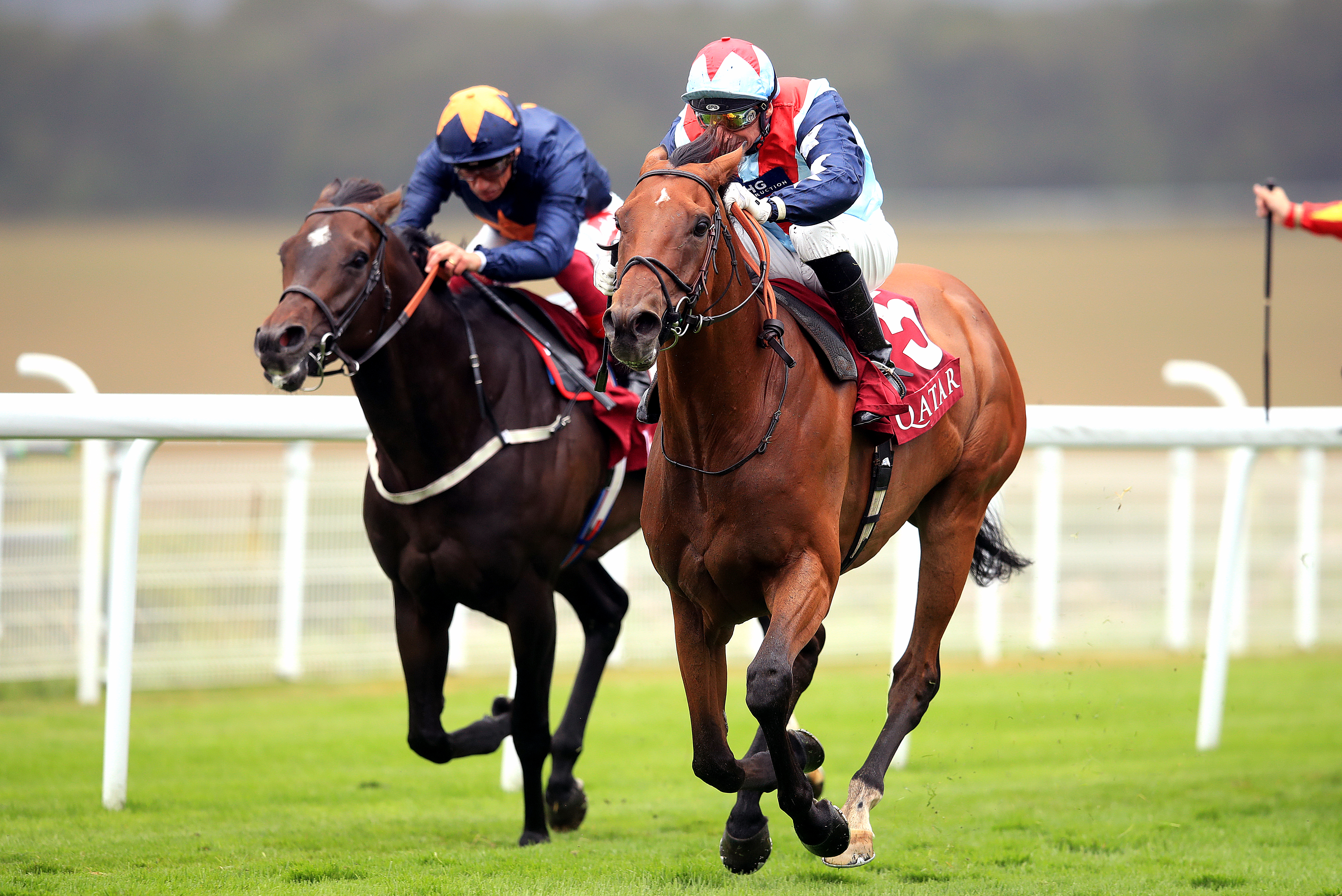 Gerald Mosse proved on Sir Dancealot (right) last week that he can still do the job