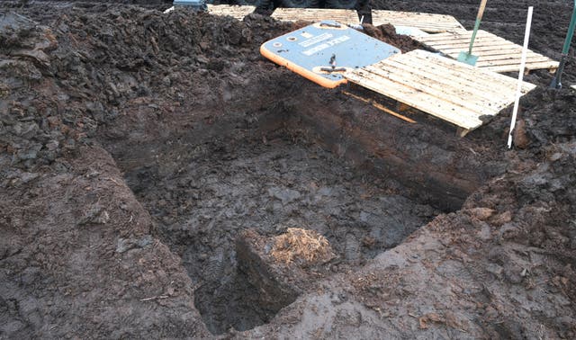Ancient human remains found in Northern Ireland