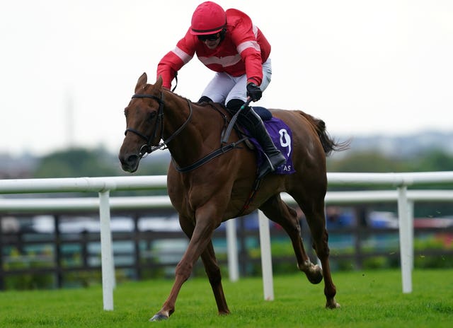 High Class Hero leads the Willie Mullins team 