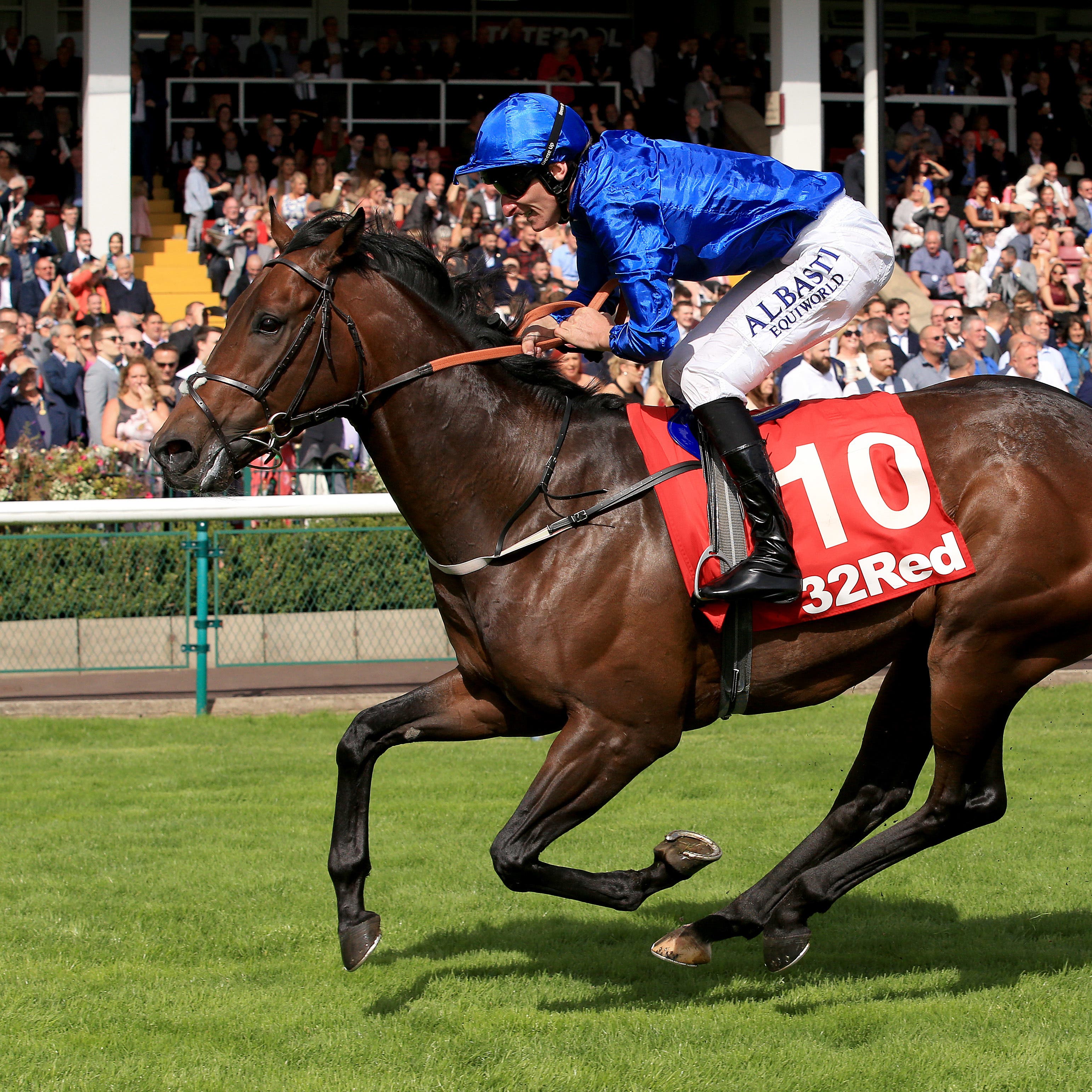 Harry Angel who makes his reappearance at York on Wednesday (Clint Hughes/PA)