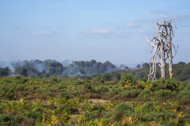 New Forest heathland fire