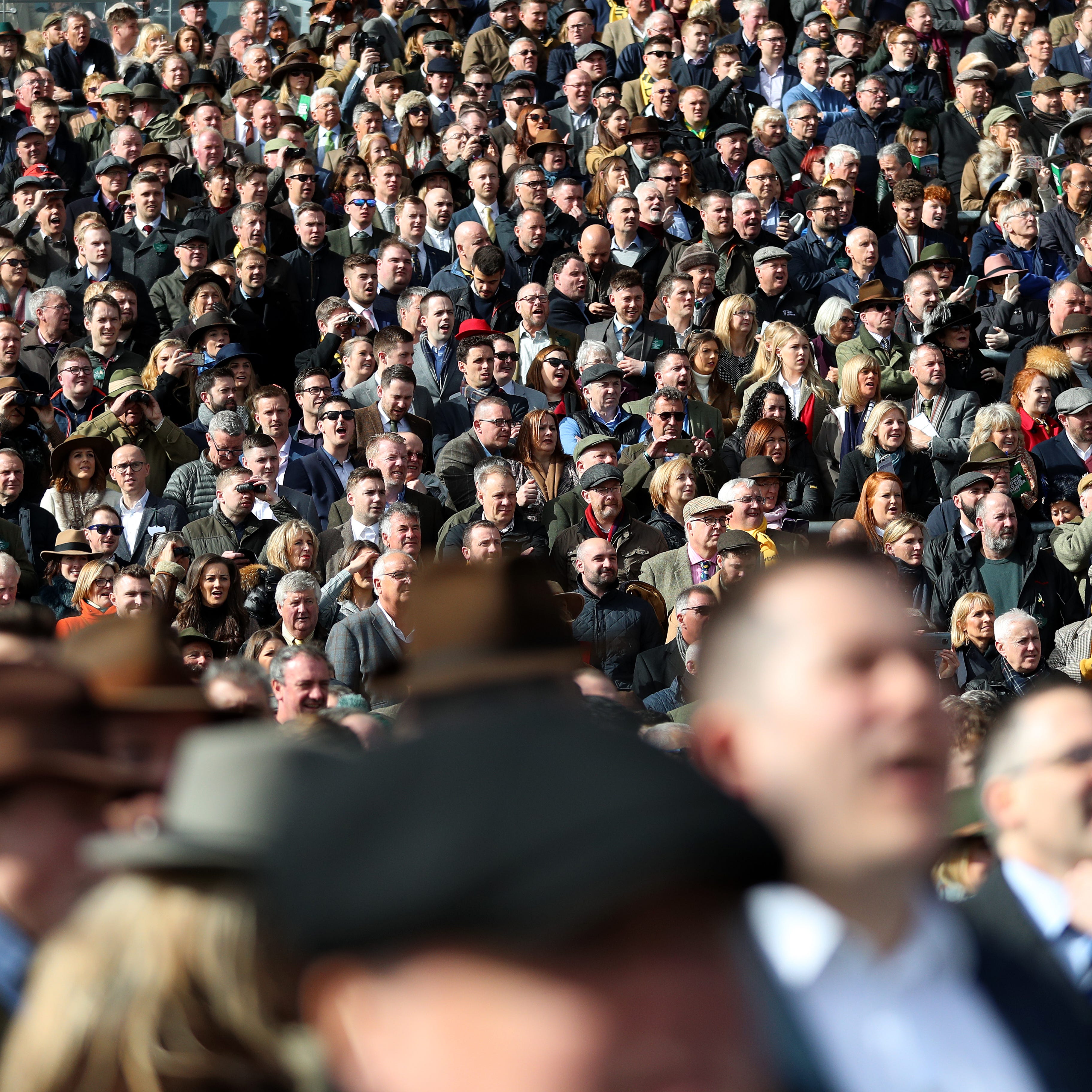Cheltenham was packed to the rafters on St Patrick's Thursday