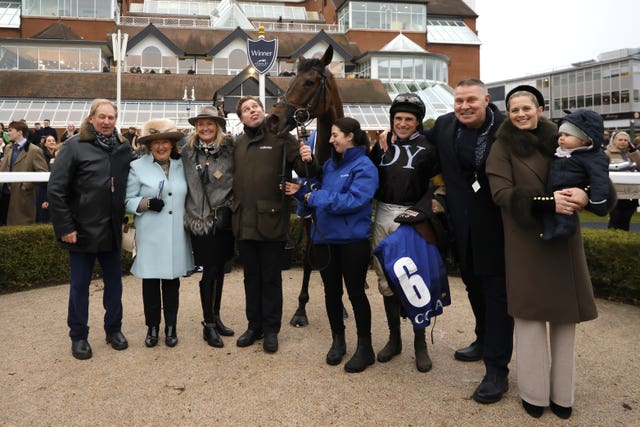 Happy connections with The New Lion 