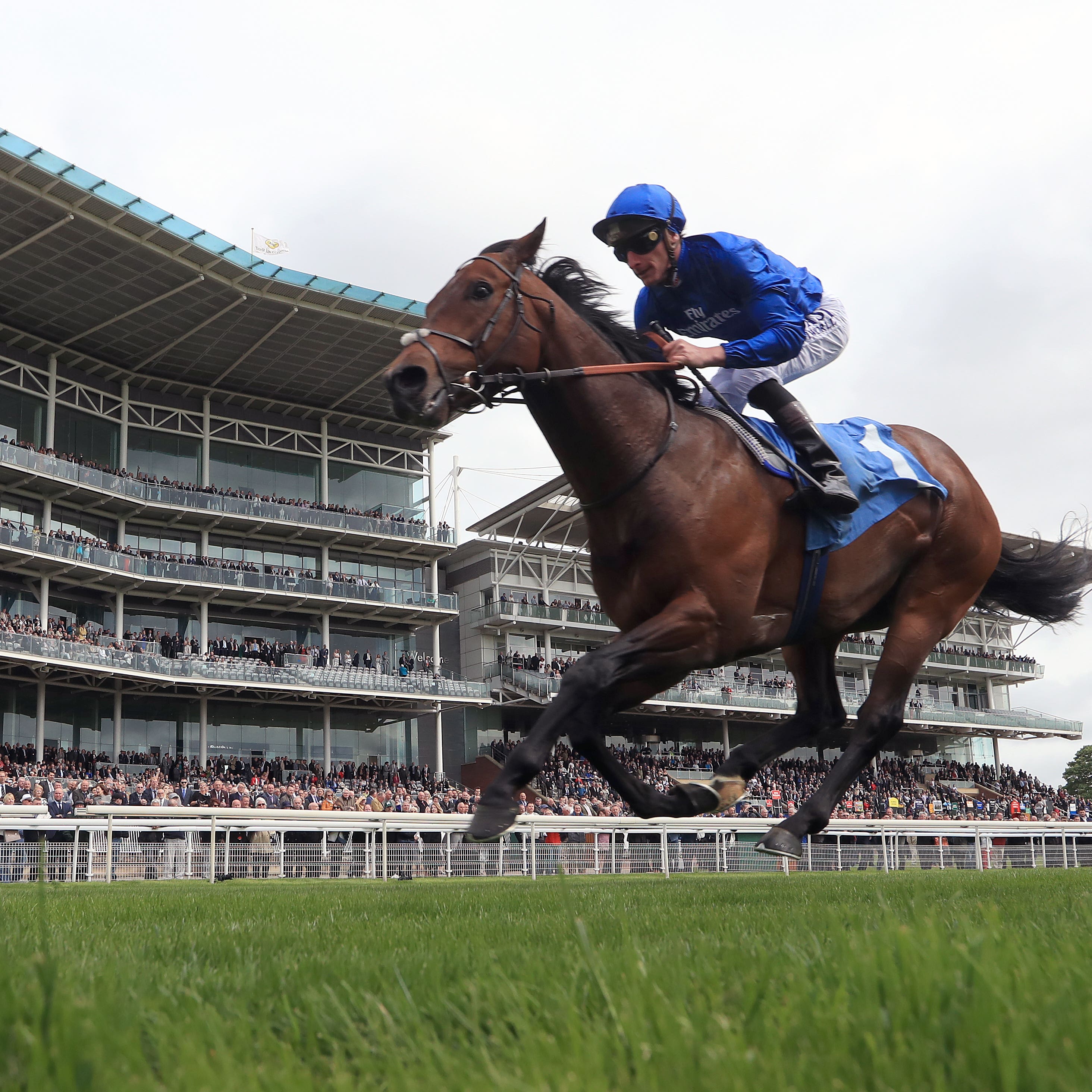 Harry Angel in full flight at York (Simon Cooper/PA)
