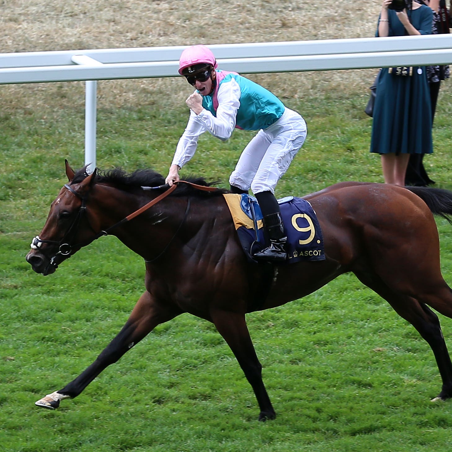 Expert Eye wins the Jersey Stakes at Royal Ascot