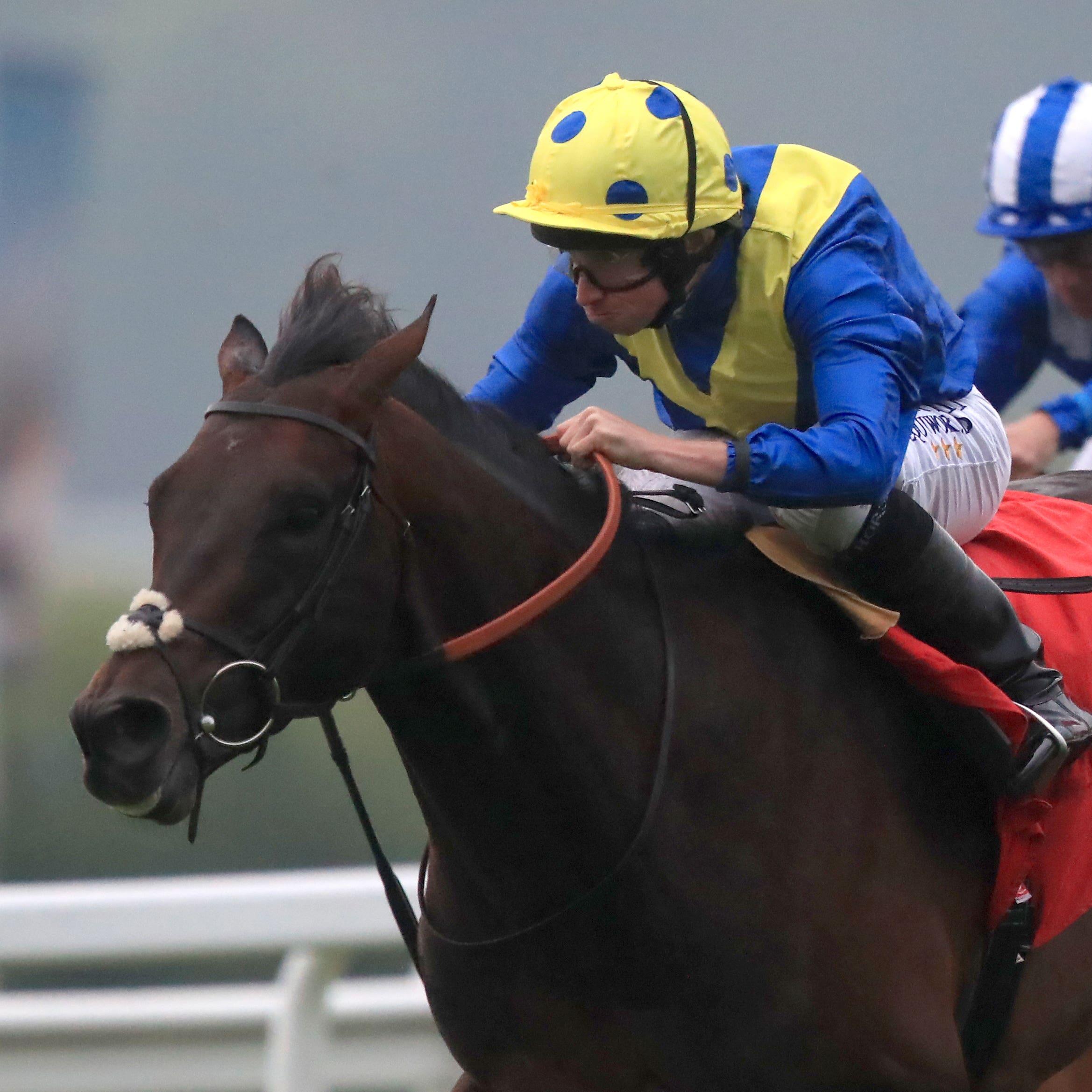 Poet’s Word was too good for his rivals at Sandown (Simon Cooper/PA)