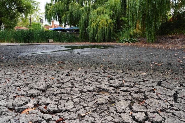The dried bed of the village pond