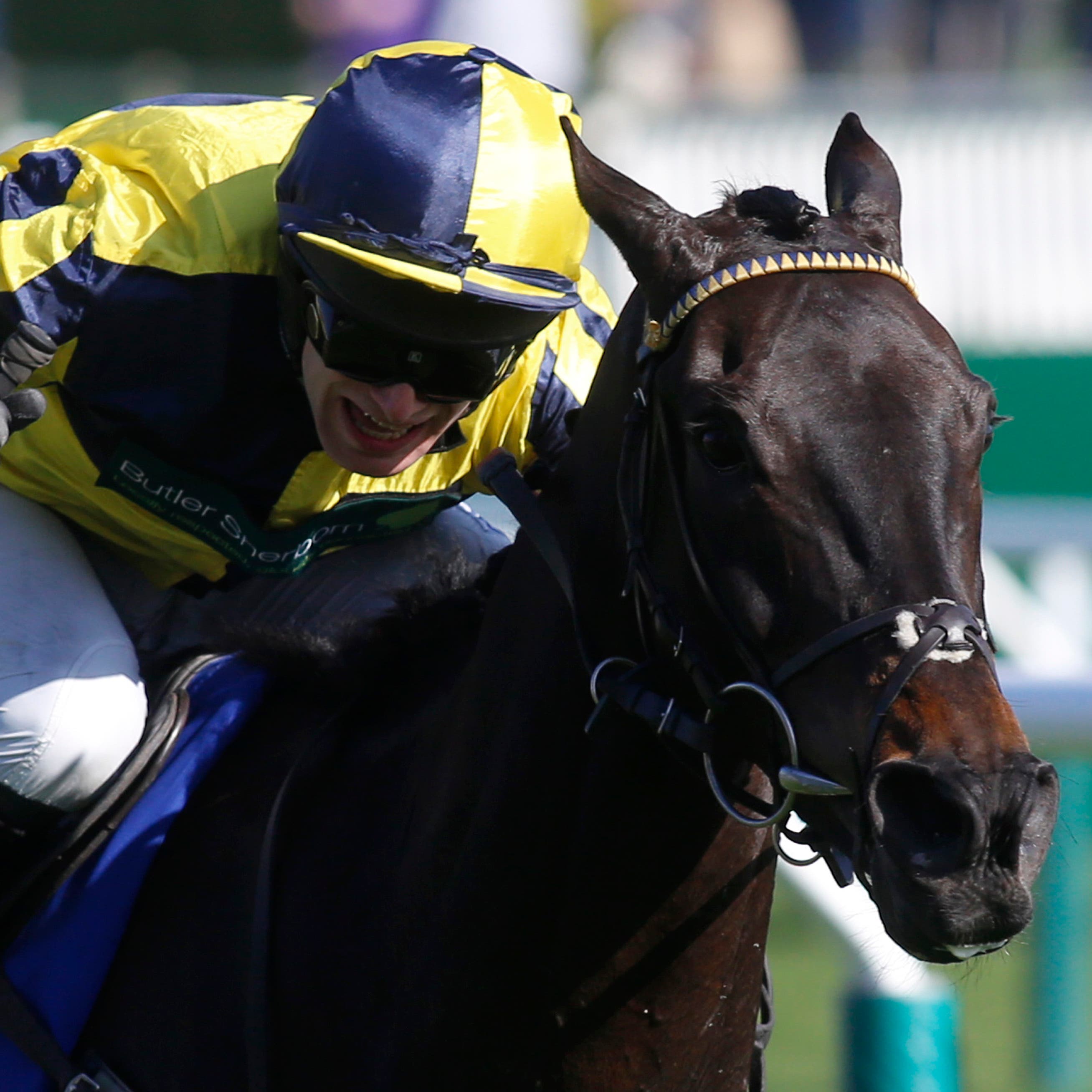 Willoughby Court on his way to winning at the Cheltenham Festival