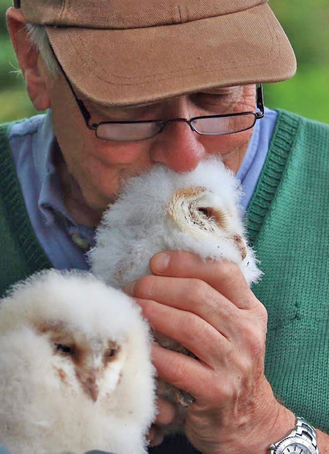 Farmer David Sandford holding a owl chick at a new barn owl nest site outside Downpatrick