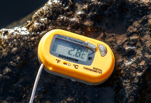 The thermometer showing the temperature of the water in the River Ribble, in which Les Peebles is swimming