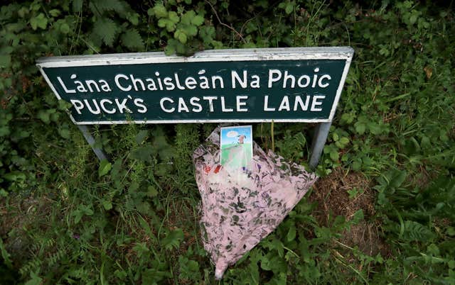 Flowers on Puck's Castle Lane in Rathmichael, Co Dublin (Donall Farmer/PA)