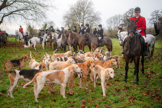 A hunt with members on horseback and hounds