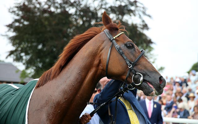 Stradivarius has been a magnificent servant to connections 