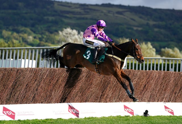 Annual Invictus will be ridden by Freddie Gordon at the Cheltenham Festival 