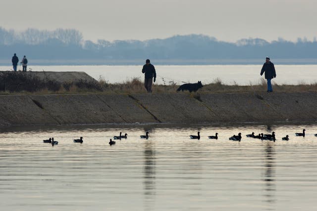 Stock – Farlington Marshes