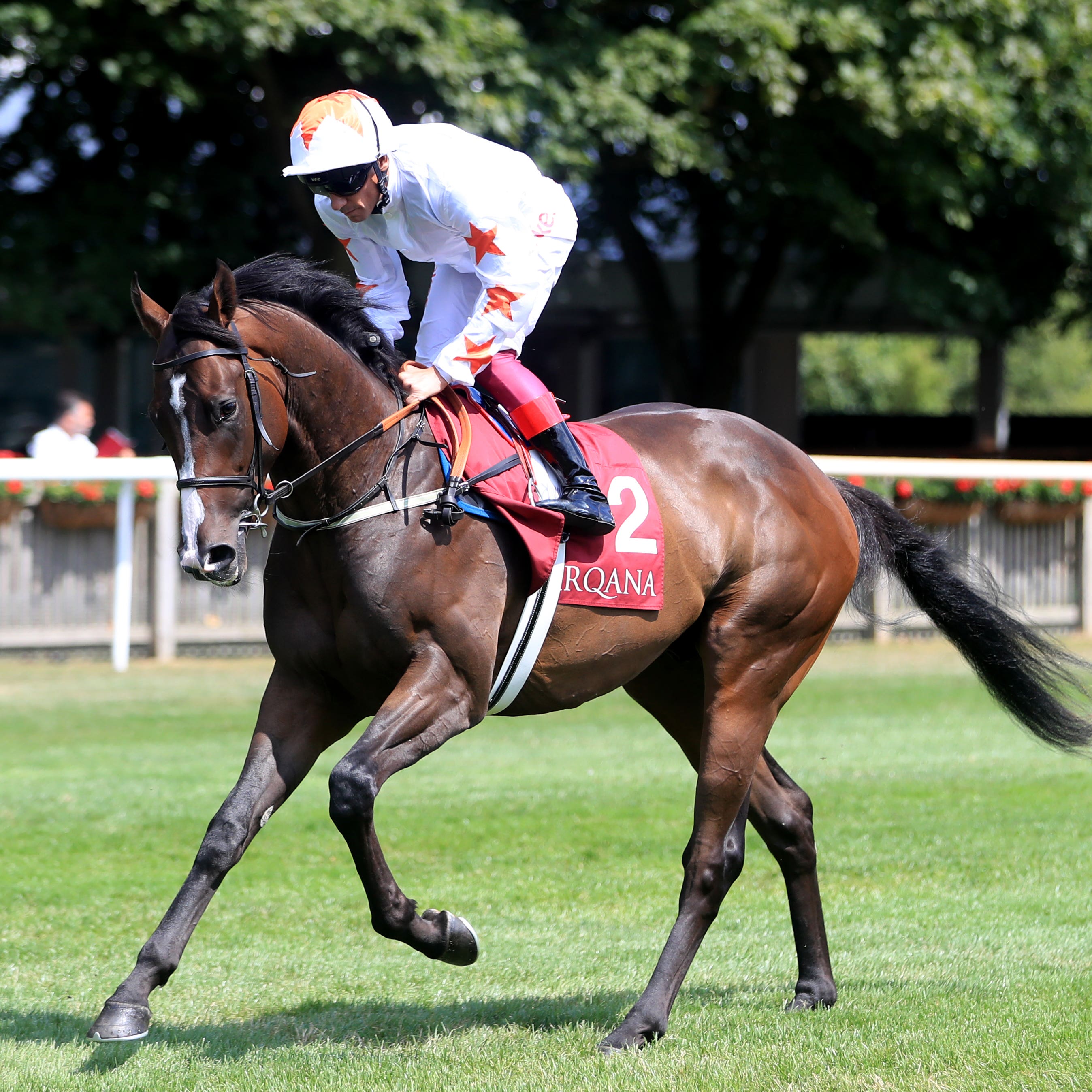 Advertise goes to post before winning the July Stakes at Newmarket