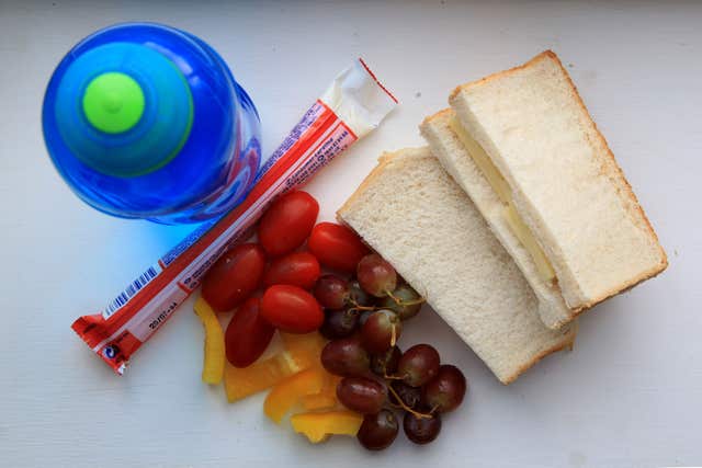 Packed lunch for school survey