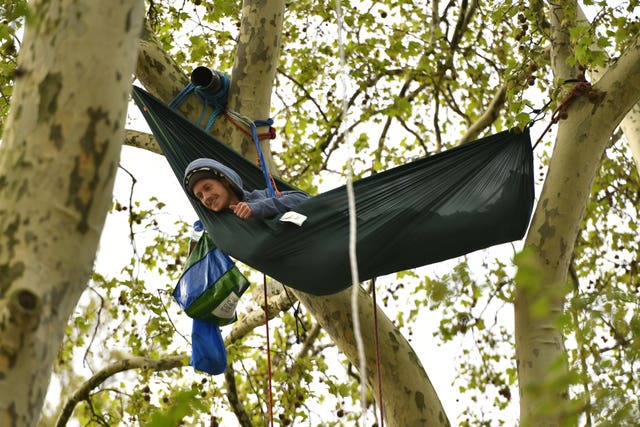 A climate change protester in a hammock in the tress of Parliament Square