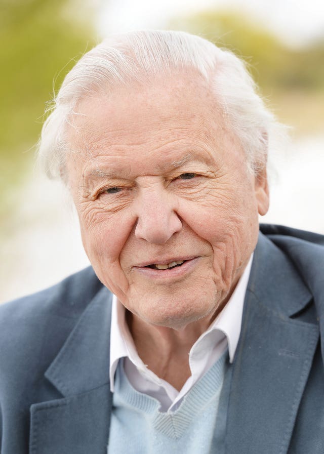 David Attenborough joins Instagram