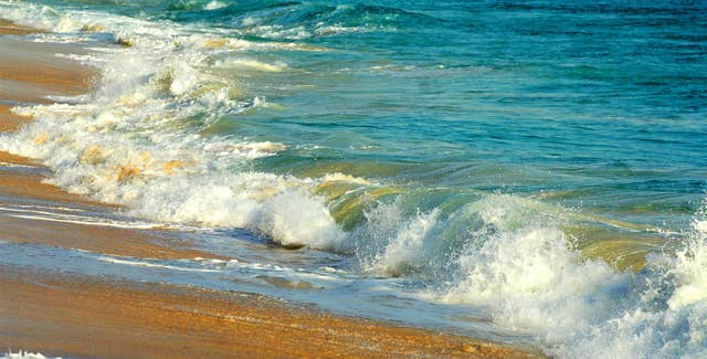 A beach in Barbados