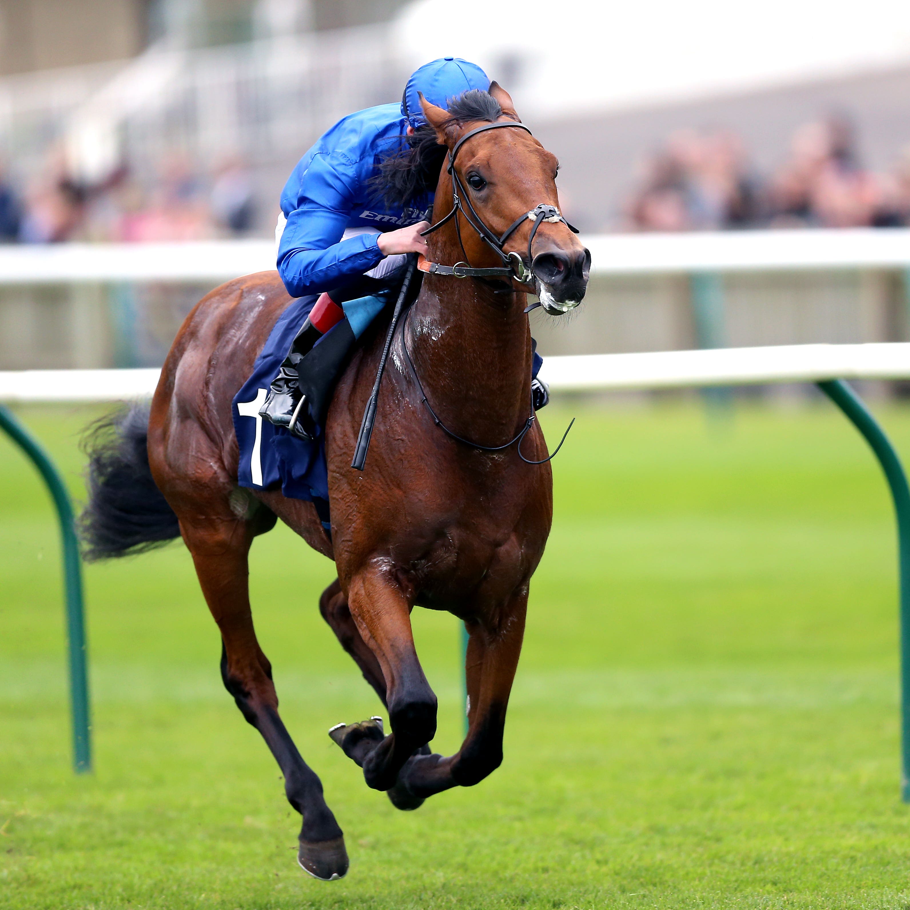 Old Persian has plenty of good form at Newmarket (Nigel French/PA)