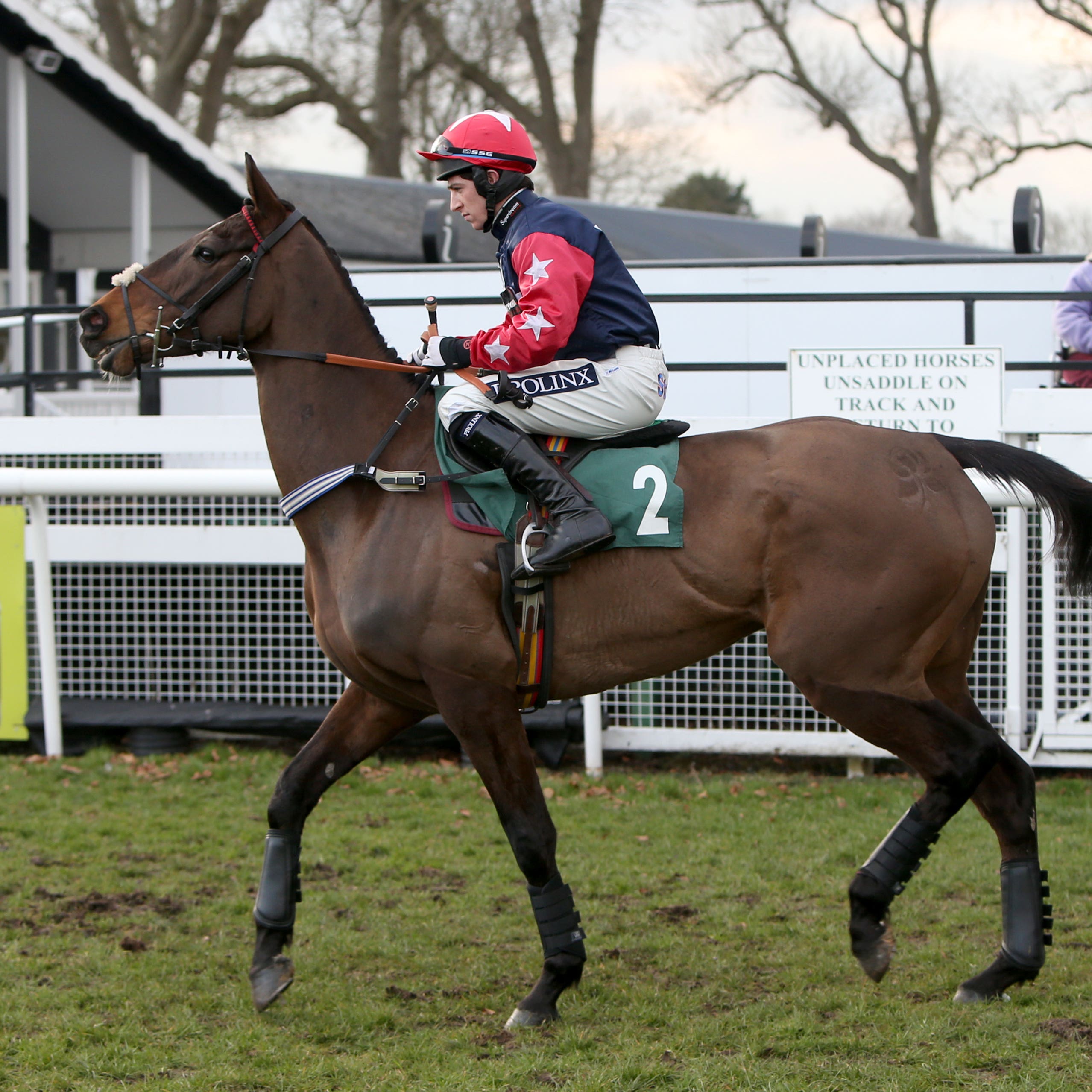 Doctor Phoenix, seen here back in 2014, lines up at Clonmel on Thursday