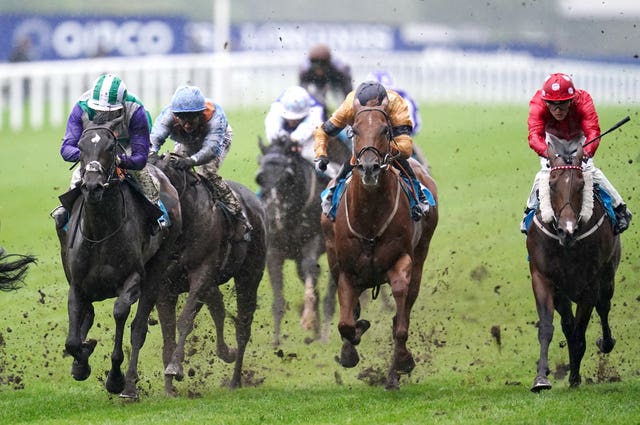 Vadream (left) in winning action at Ascot 