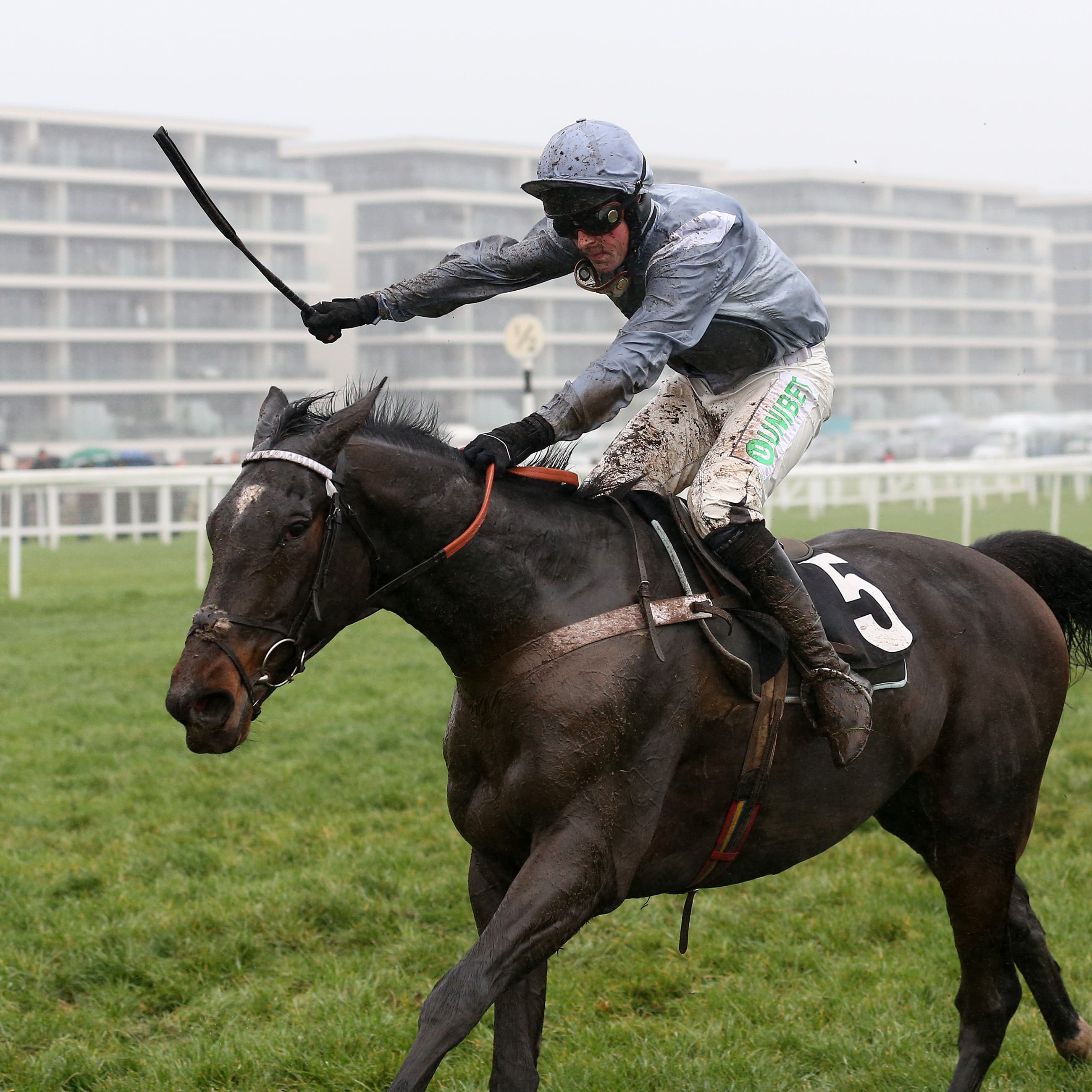 Santini and Nico de Boinville win the Ladbrokes John Francombe Novices' Chase at Newbury
