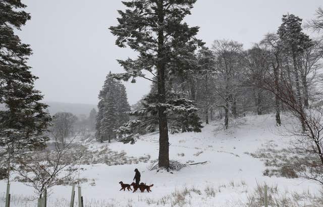 A man walks his three dogs through the snow in Allenheads, Northumberland (Owen Humphreys/PA)