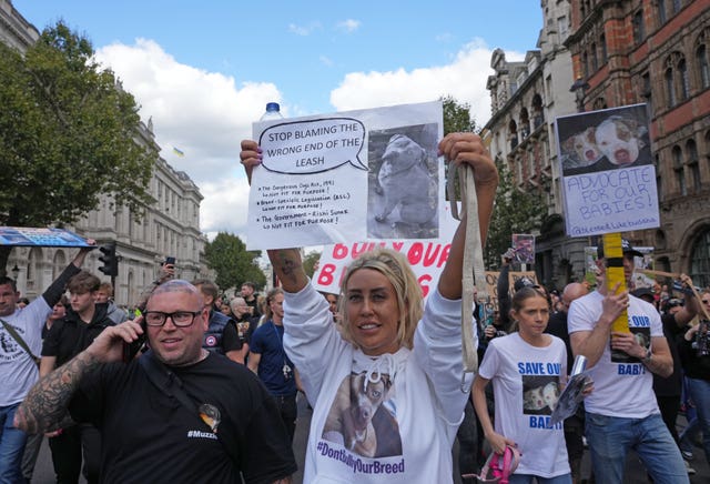 XL Bully dogs protest