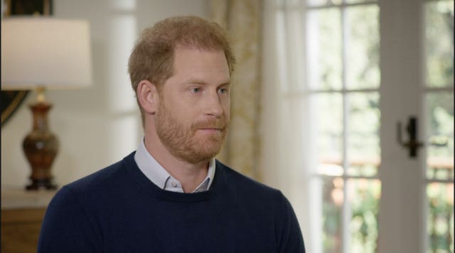 Duke of Sussex autobiography – Spare