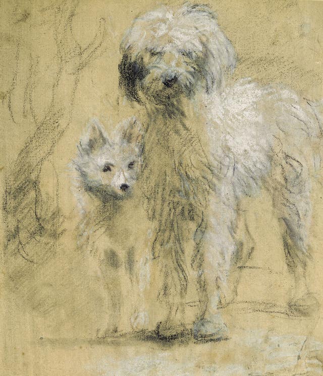Tristram And Fox, a 1760s drawing by Thomas Gainsborough of his pet dogs