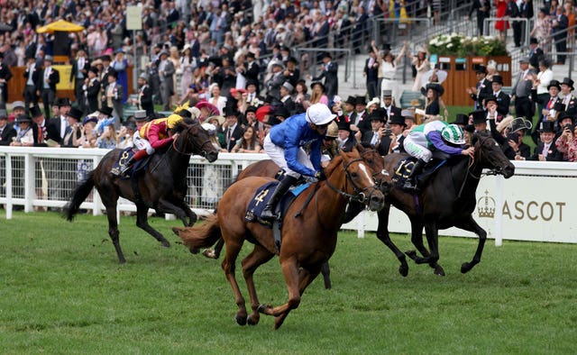 Creative Force was a Royal Ascot winner in the Jersey Stakes 