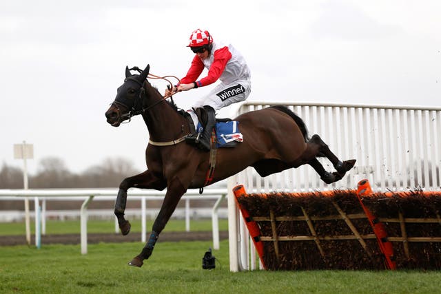 Highway One O Two winning at Kempton 