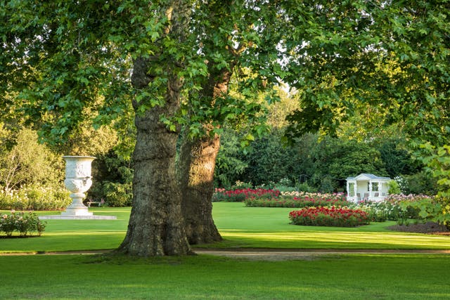 Buckingham Palace garden opening