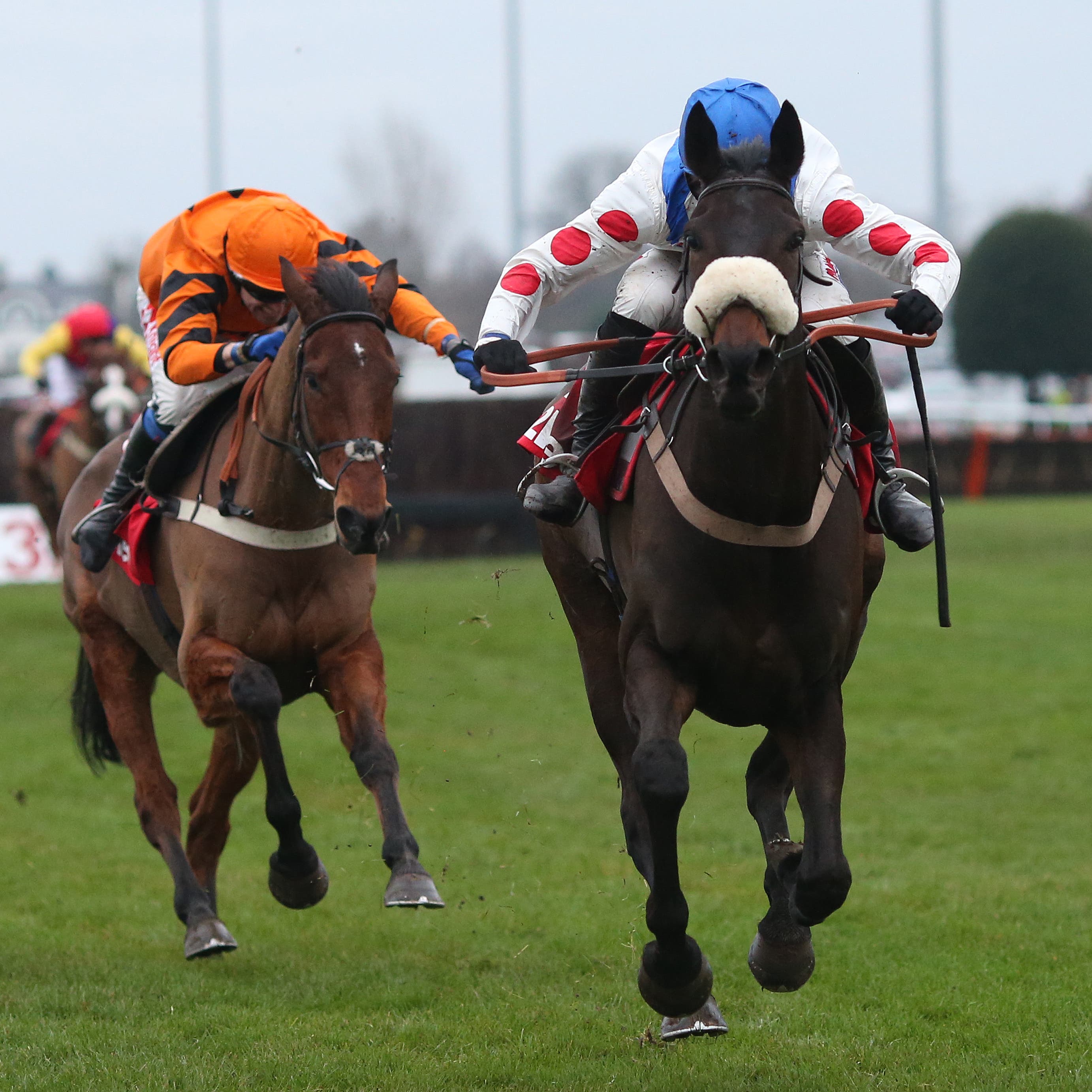 Clan Des Obeaux beat Thistlecrack in the King George