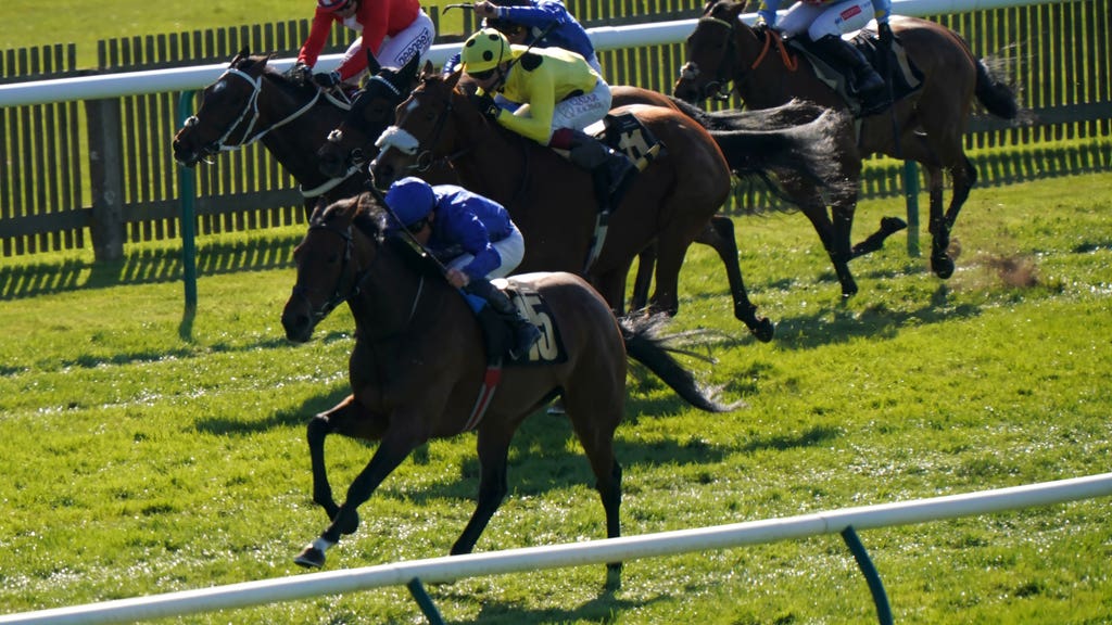 Silver Lady (number 15) draws clear of her rivals at Newmarket