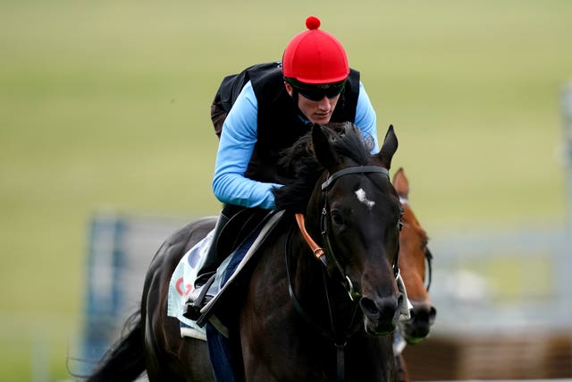 Eydon in action on the gallops