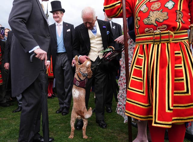 Charles meeting hearing dog Vegas at Buckingham Palace garden party