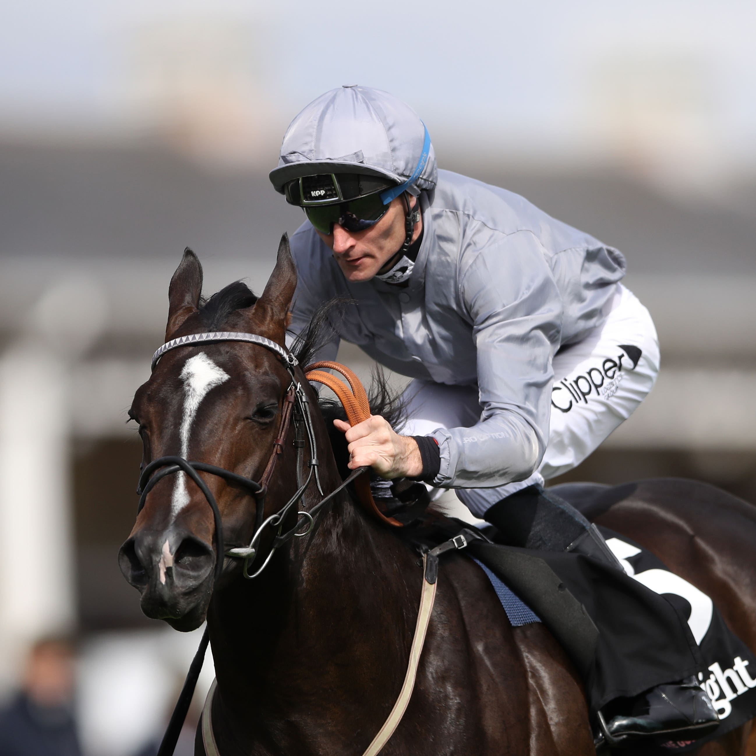 Soldier’s Call could head over the Breeders' Cup on his next start