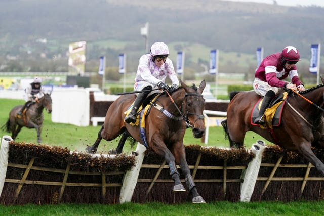 Golden Ace was a Cheltenham Festival winner last season